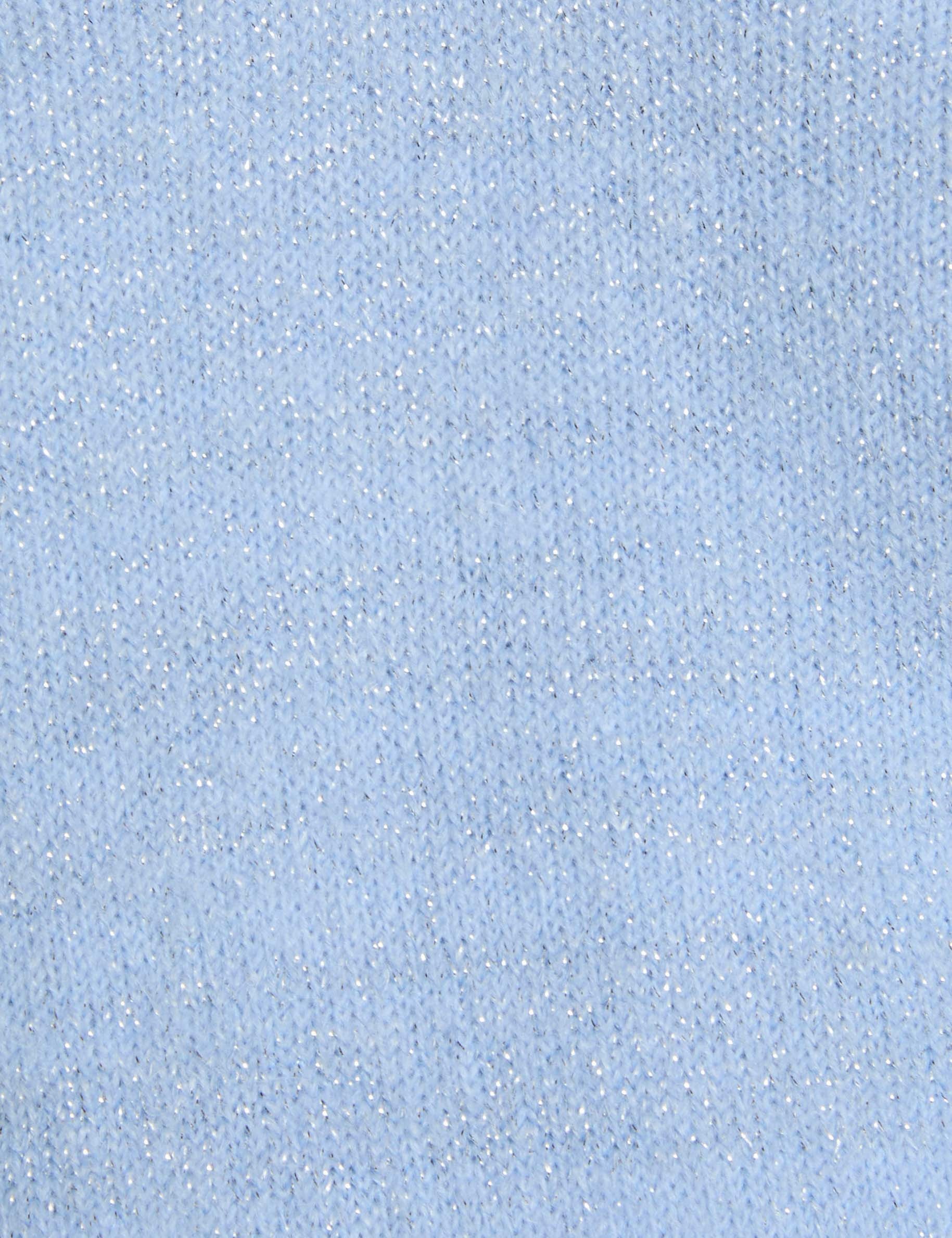 jumper with v neck blue women null
