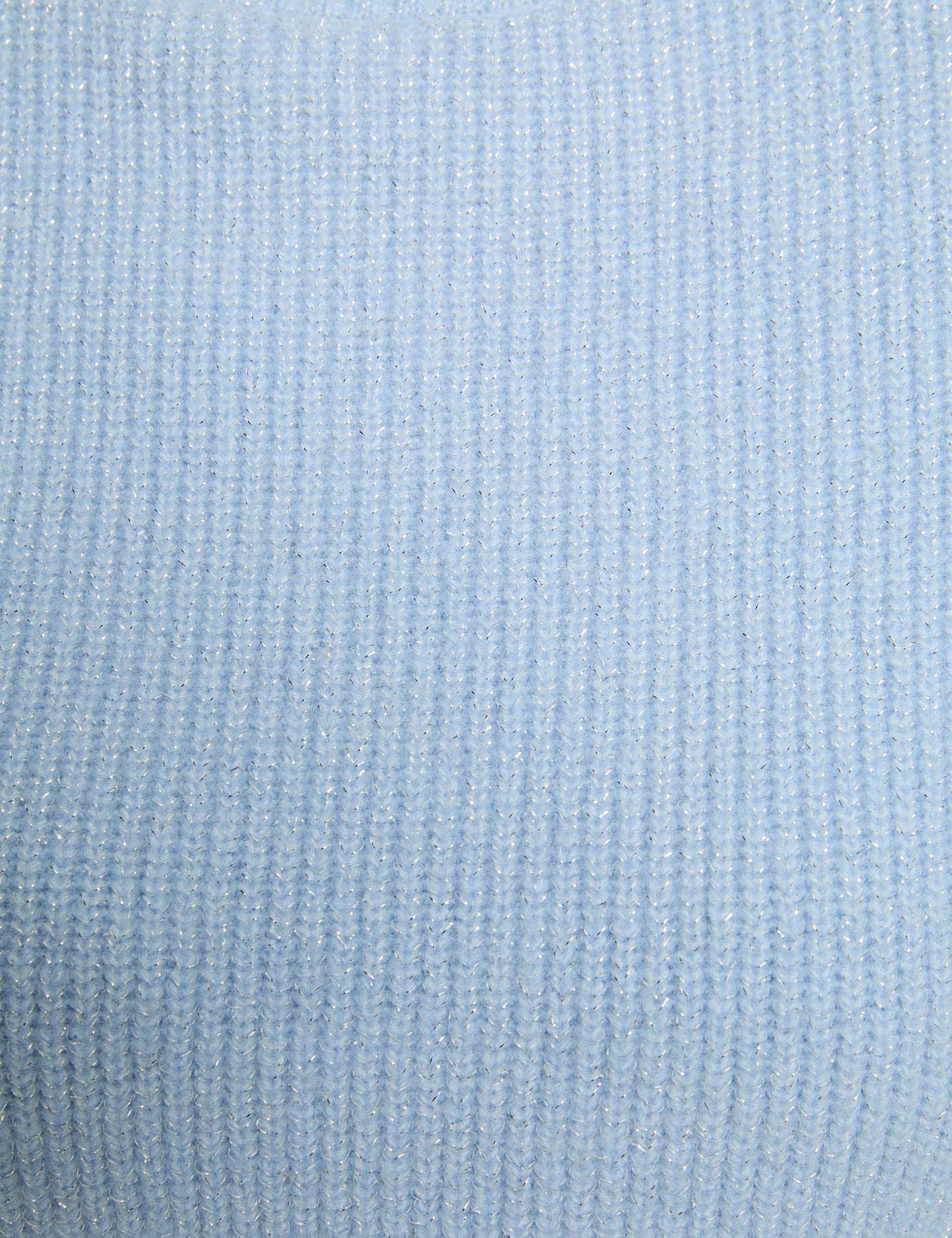 long sleeved jumper with buttons sky blue women null