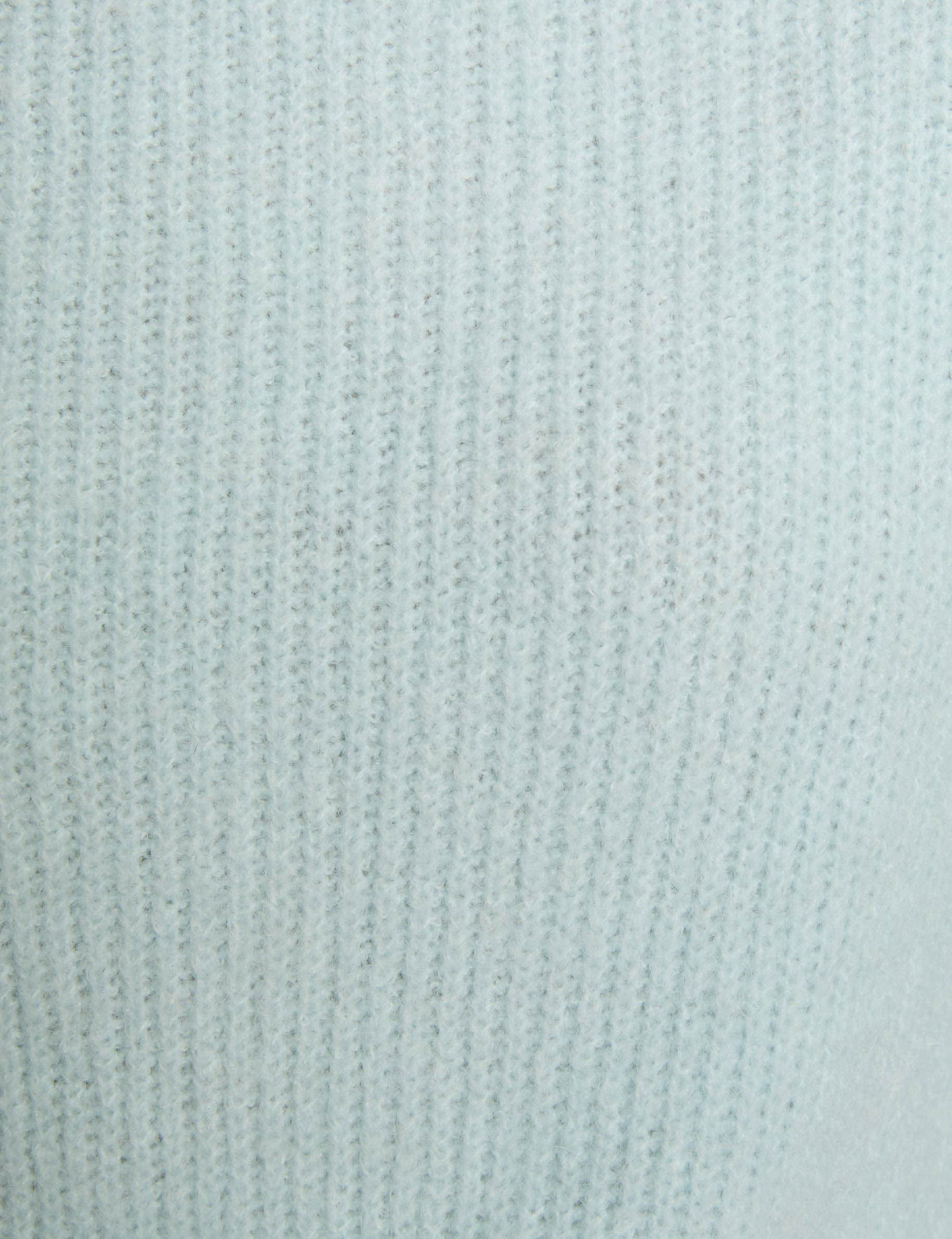 jumper with round neck sky blue women null