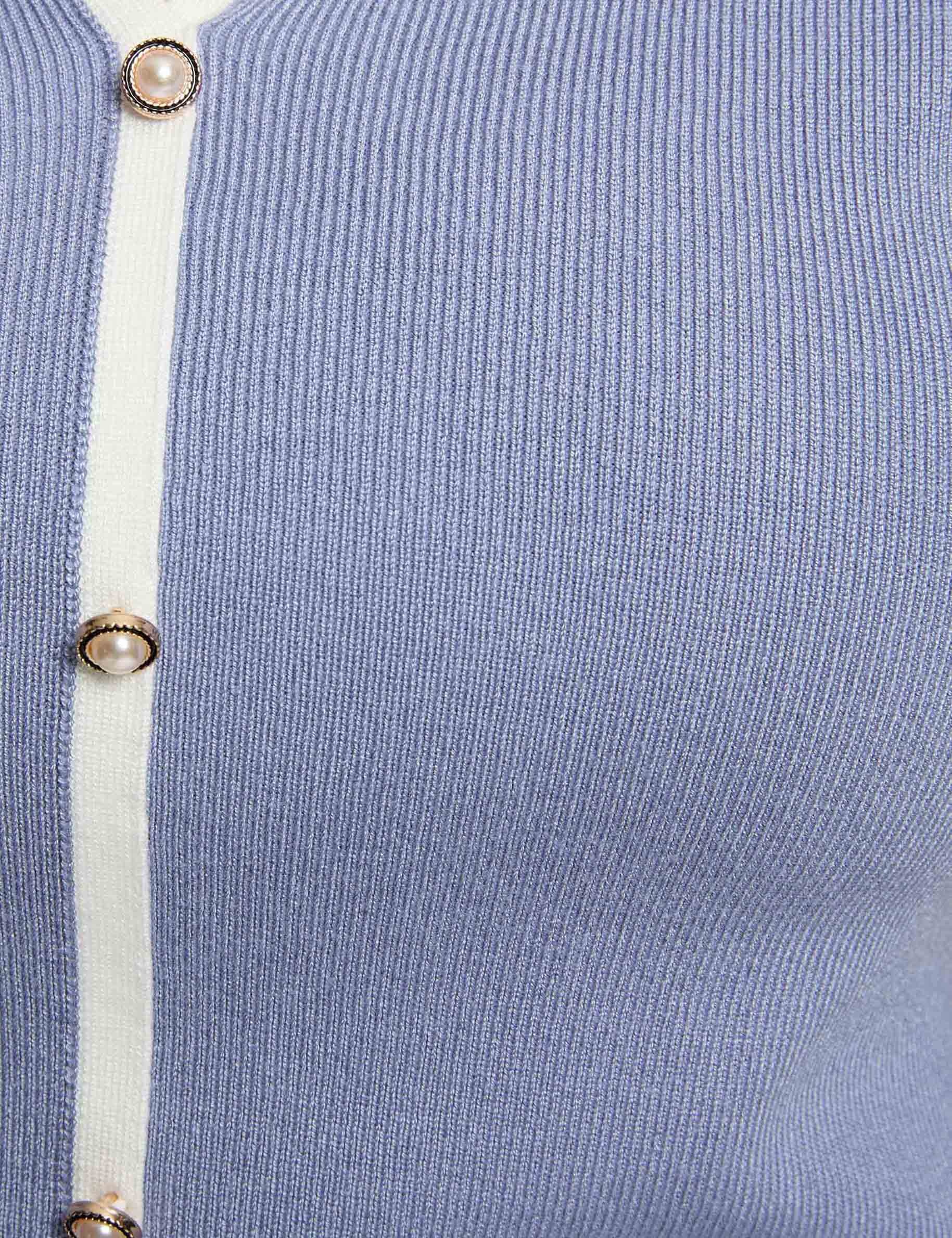 jumper polo collar and short sleeves blue women null