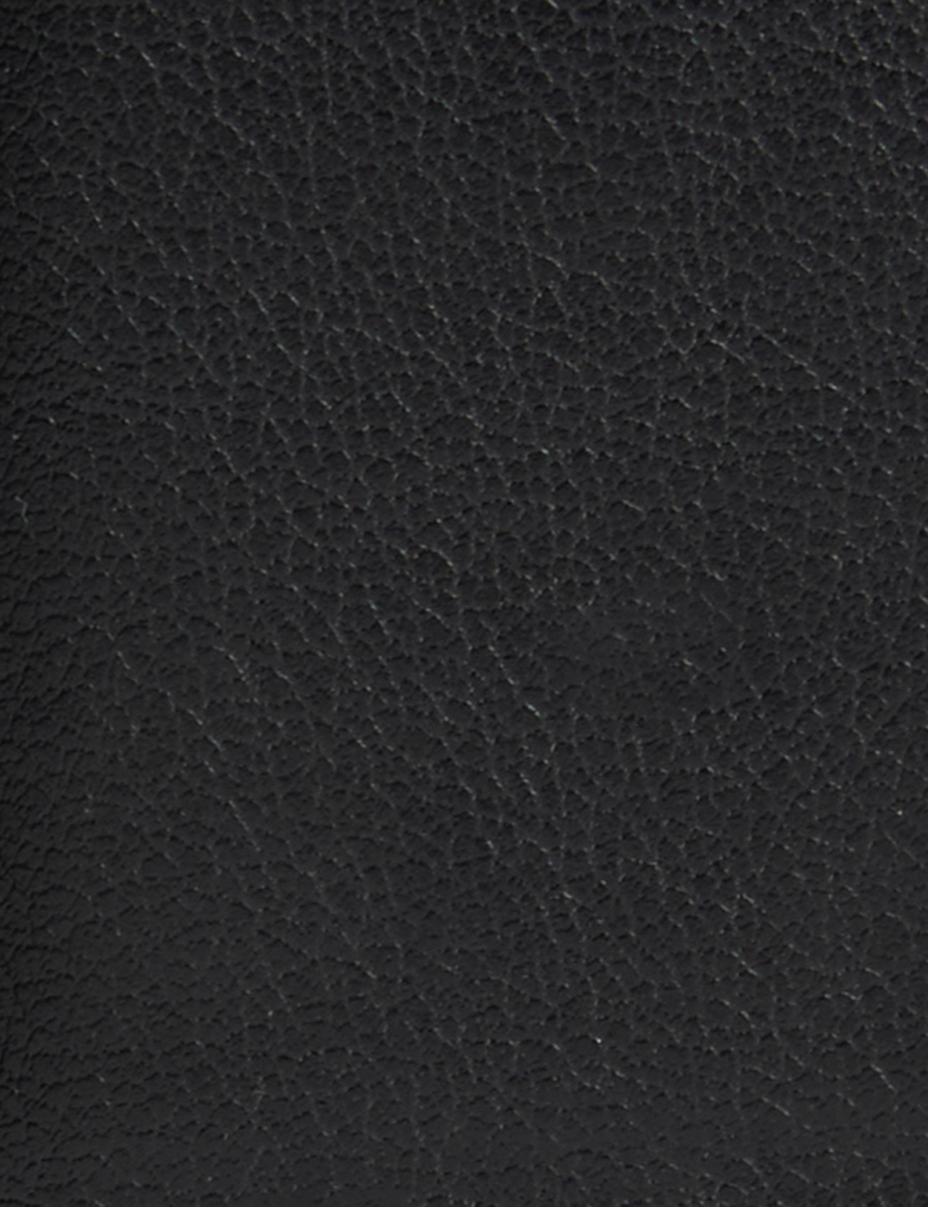 elasticised belt black women null