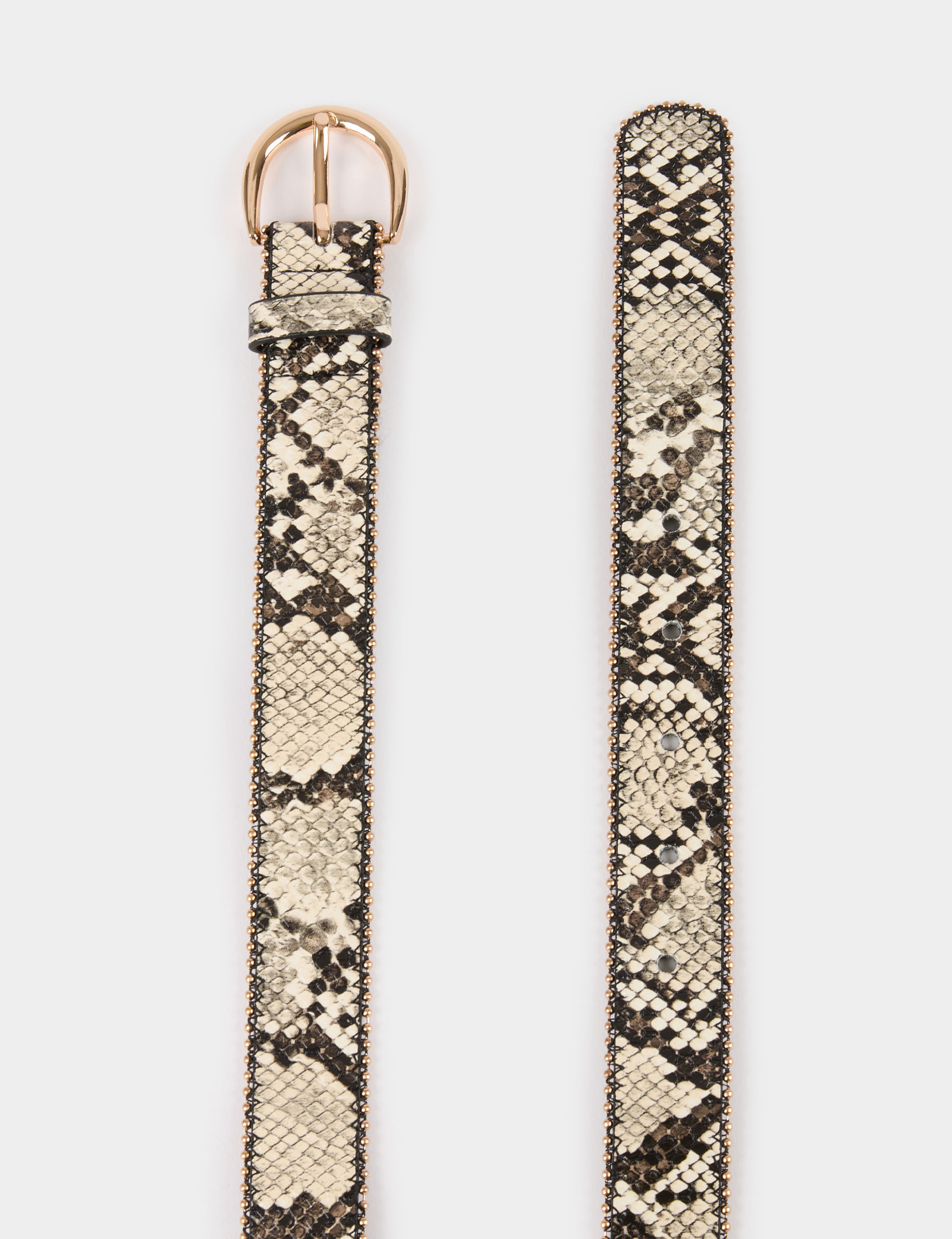 Belt snake print multicolor women