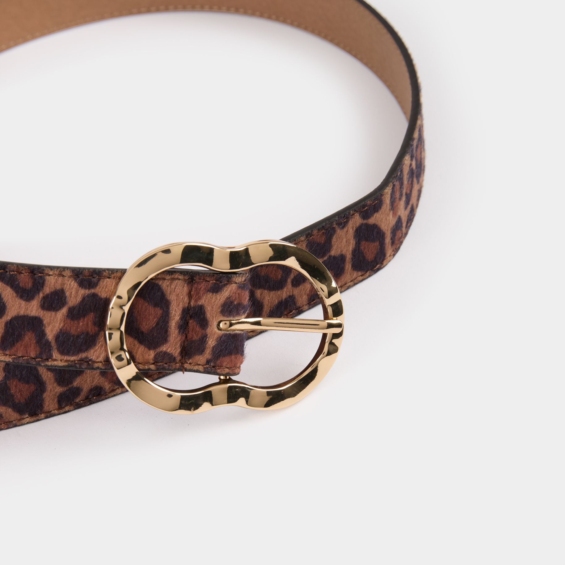 Belt leopard print multicolor women